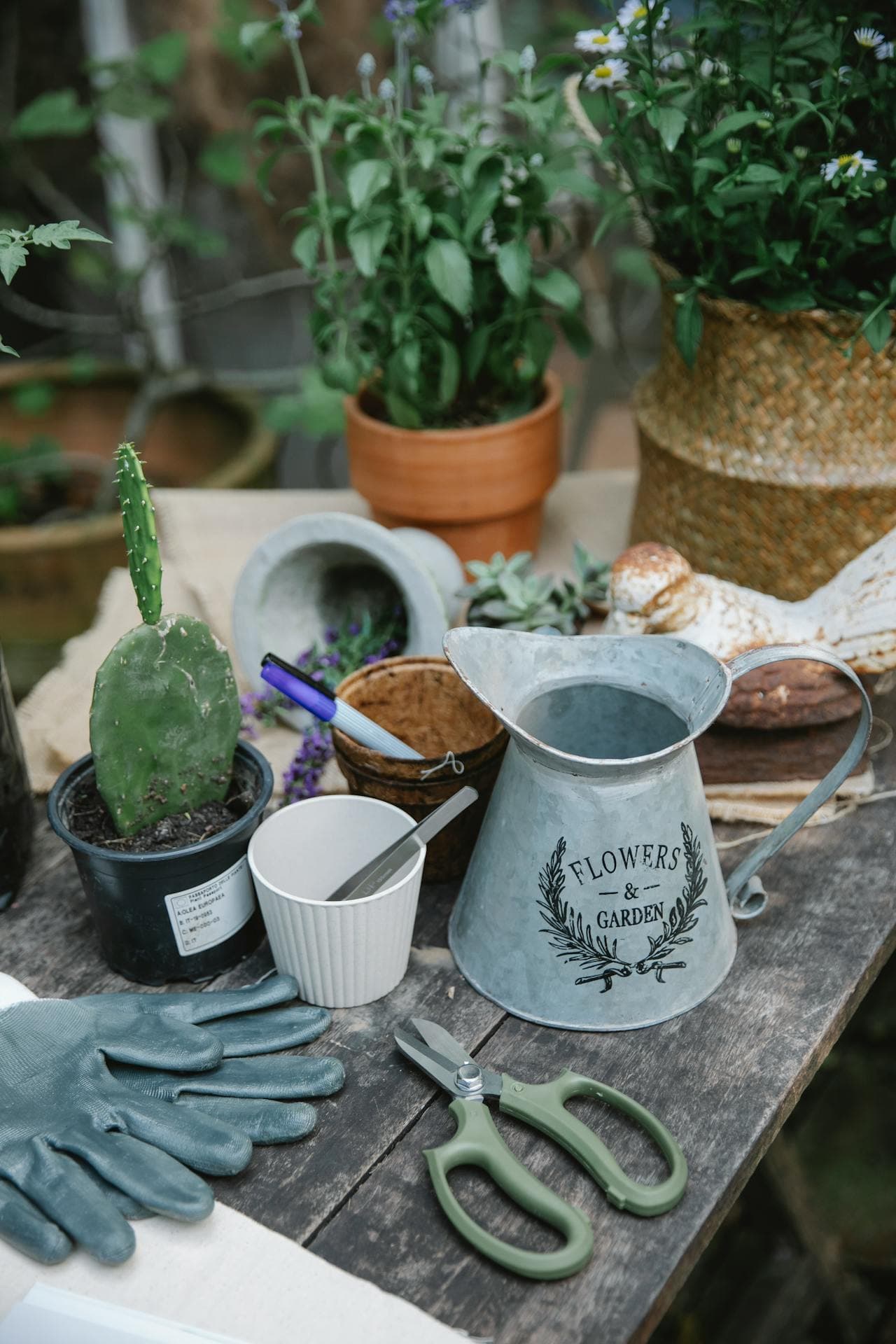 Garden Tool Set