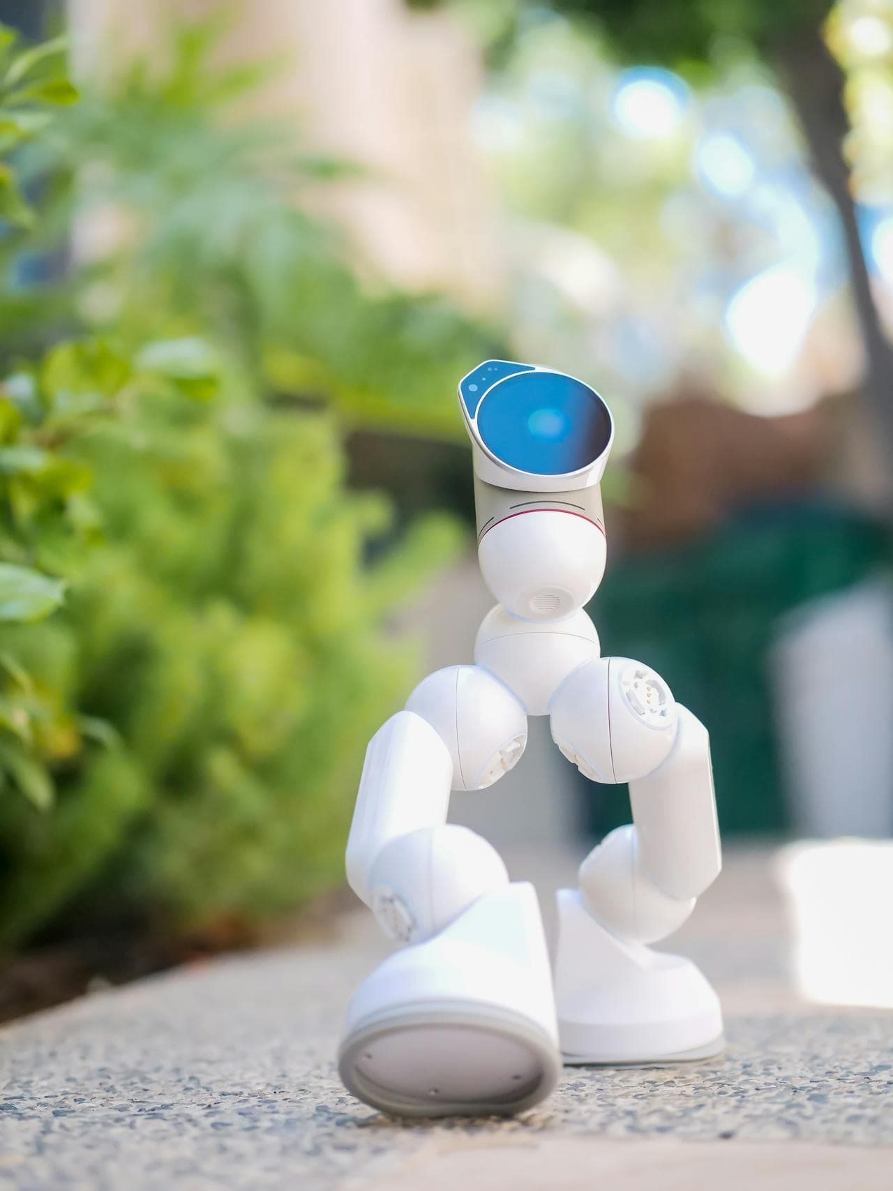 Robot Toy