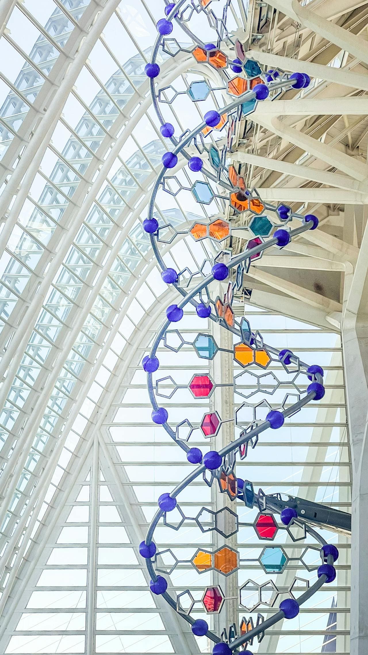 DNA Model